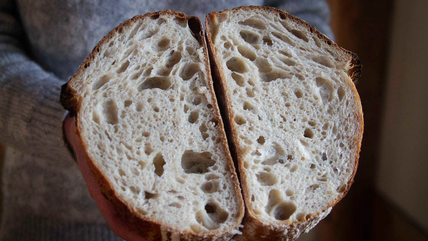 White Sourdough