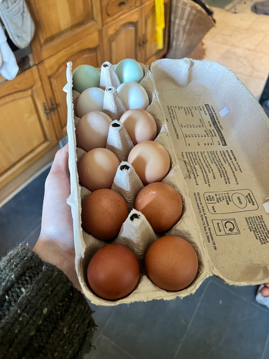 12 x Widdington Pasture Raised Eggs - Mixed Weight