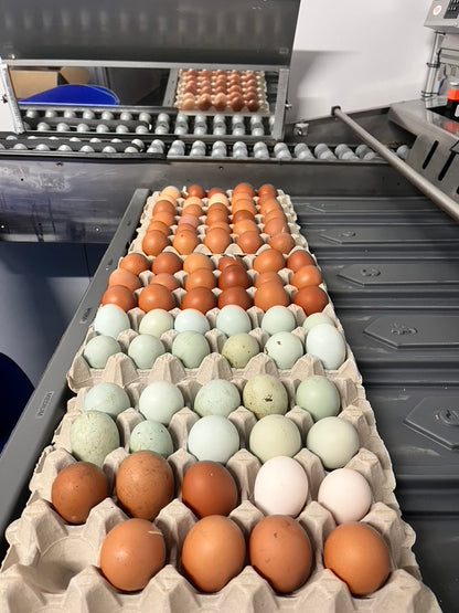 30 x Widdington Pasture Raised Eggs - Mixed Weight