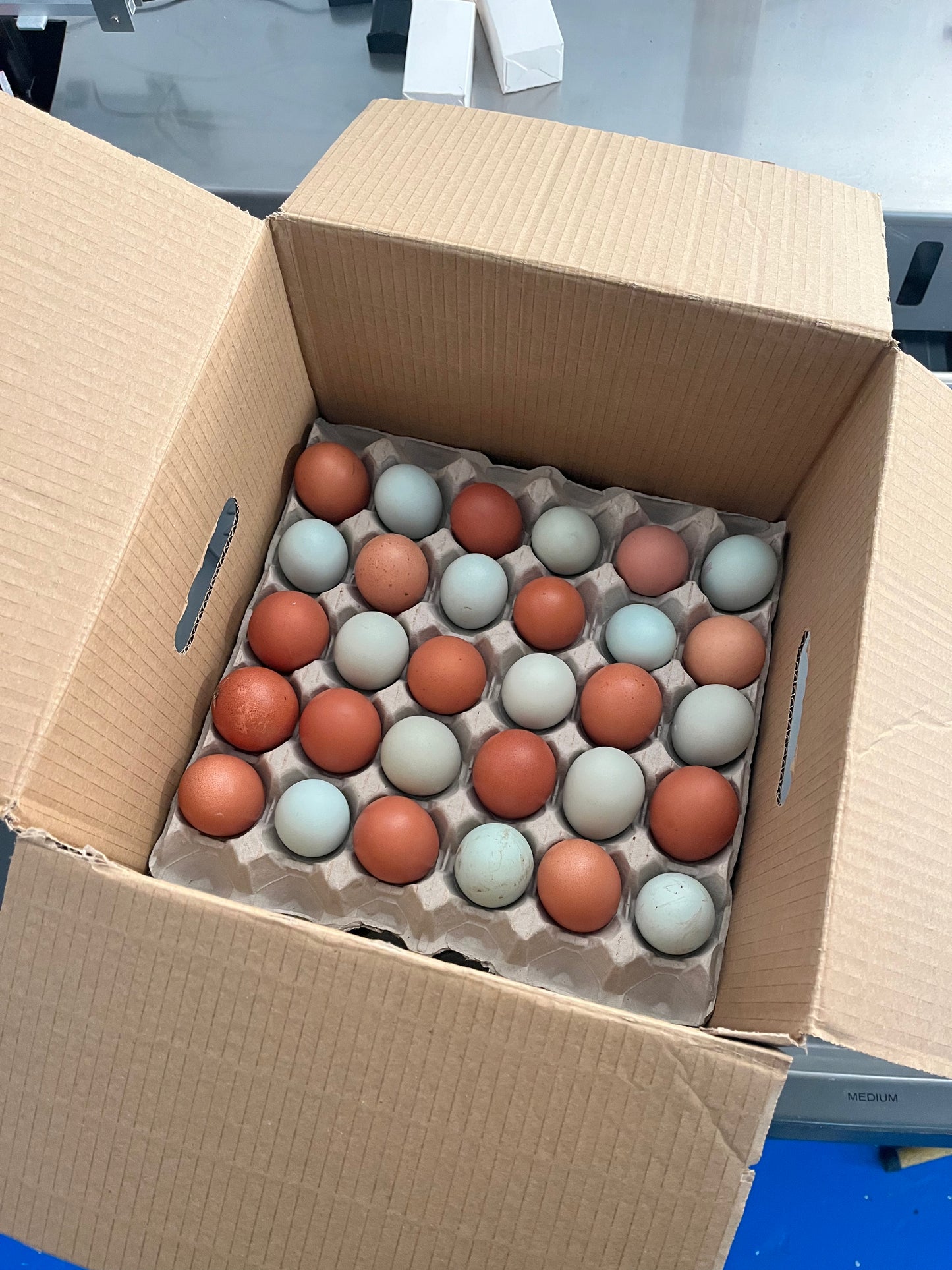 30 x Widdington Pasture Raised Eggs - Mixed Weight